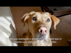 Palm Pulse Oksimeter Hewan Pasien Monitor LCD Warna